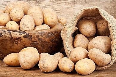 横板动作RPG游戏《湮灭圣礼》Steam页面 支持简体中文